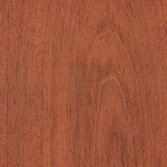 wood jatoba
