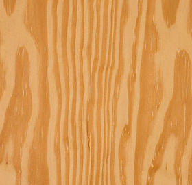 Southern Yellow Pine.jpg